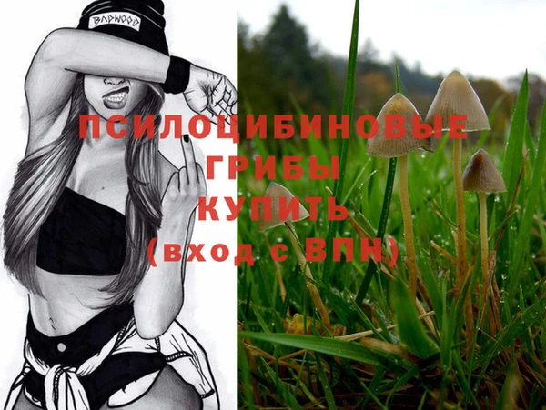 мяу мяу мука Абинск