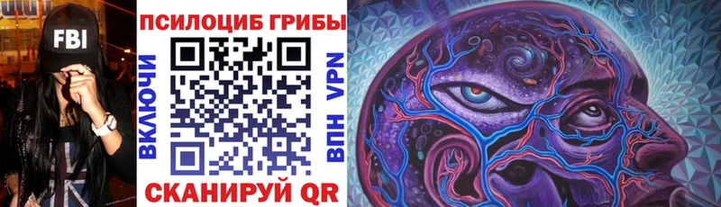 цены наркотик  Псков  Псилоцибиновые грибы ЛСД 